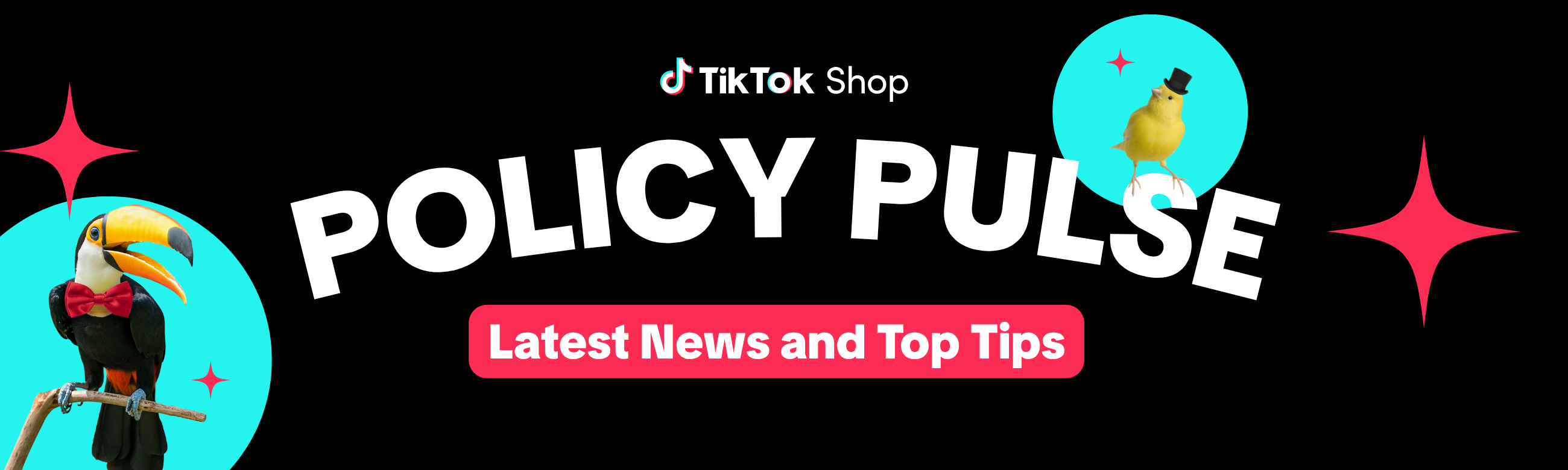 TikTok_Banner_2600 x 780 px_ Category Pet Supplies_V0 (1).png